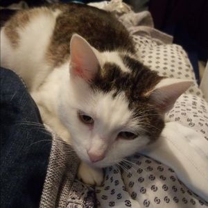 Meet your Posher, Madi